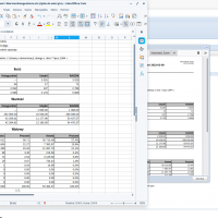 Zrzut ekranu z Zorina. Raport otwarty w arkuszu kalkulacyjnym.